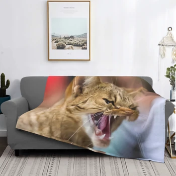 Kızgın Kedi Battaniye Mikro Polar Battaniye Rahat Termal Battaniye Dayanıklı Ped Yatak Örtüsü Sıcak Kanepe Agresif Kedi Battaniye